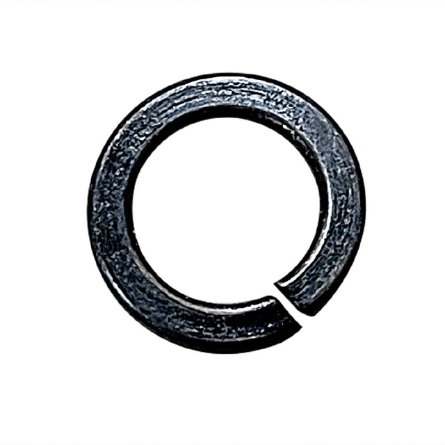 Buffalo Spring - AS102  Buffalo   