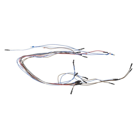Buffalo 600 Series Internal Wiring Group - AT032  Buffalo   
