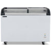 Blizzard Curved Glass Lid Freezer 320L - BDF32 Display Chest Freezers Blizzard