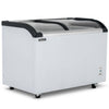 Blizzard Curved Glass Lid Freezer 320L - BDF32 Display Chest Freezers Blizzard