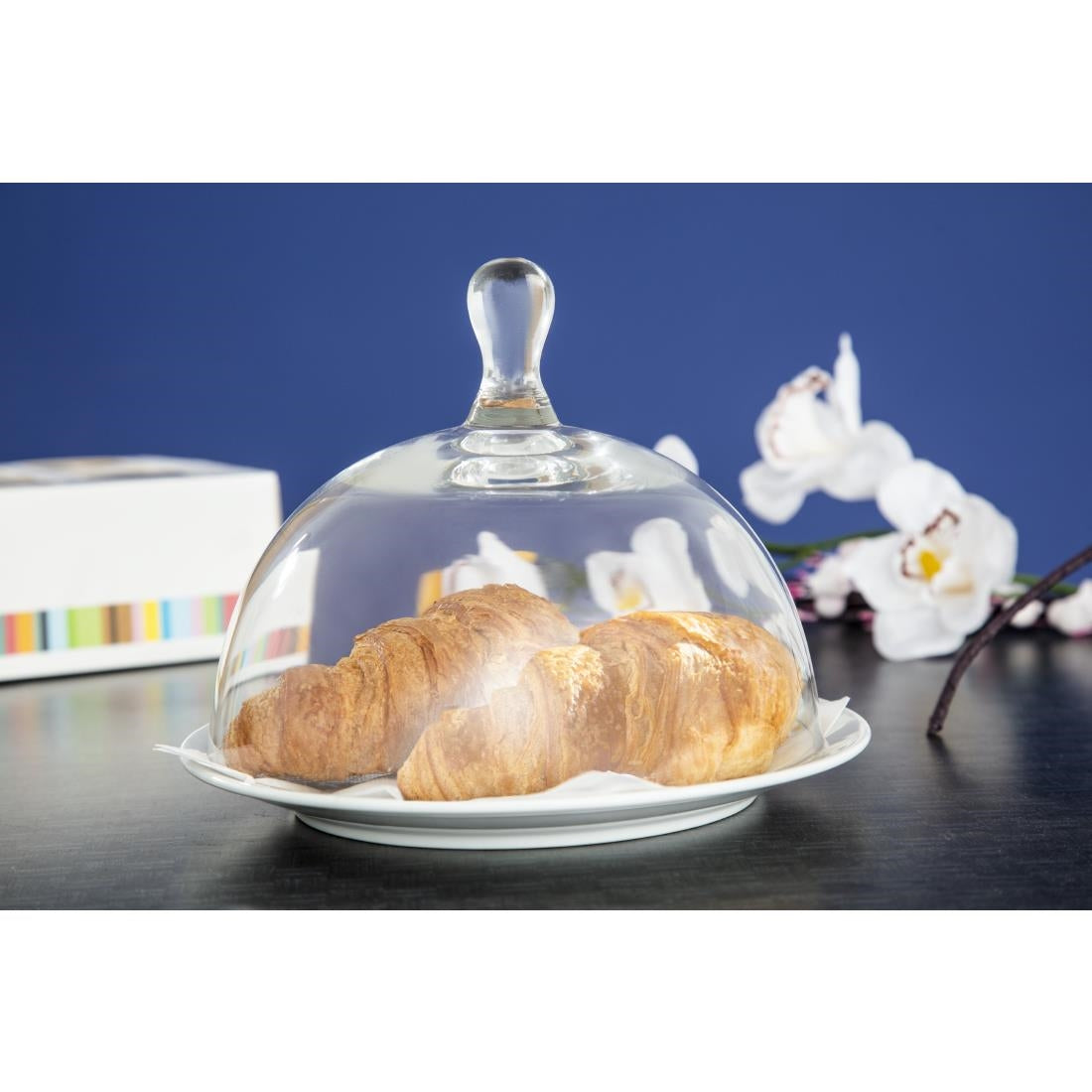 Utopia Large Glass Cloche - CW552  Utopia   