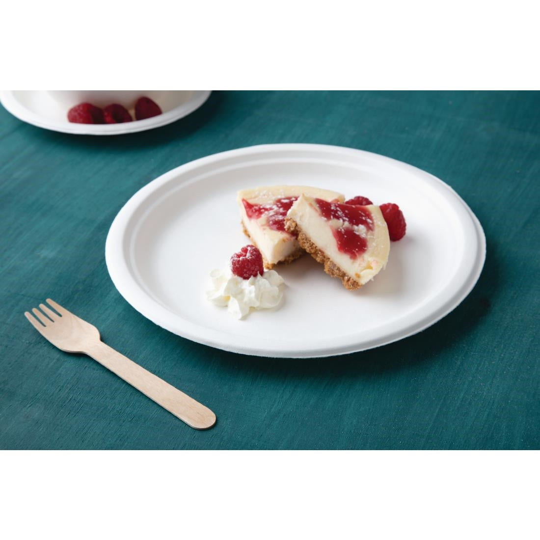 Fiesta Compostable Bagasse Plates Round 260mm (Pack of 50) - CW904  Fiesta   
