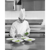 Robot Coupe BL3 Kitchen Blender - CX120  Robot Coupe   