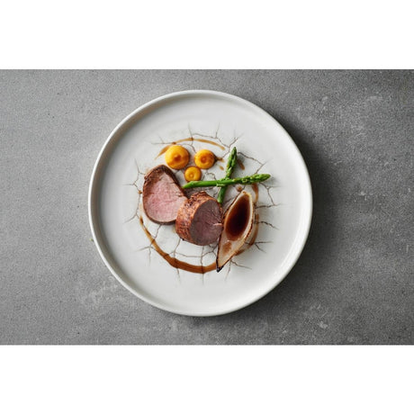 Churchill Studio Prints Kintsugi Agate Walled Plates Grey 260mm (Pack of 6) - CX677 Plates Churchill