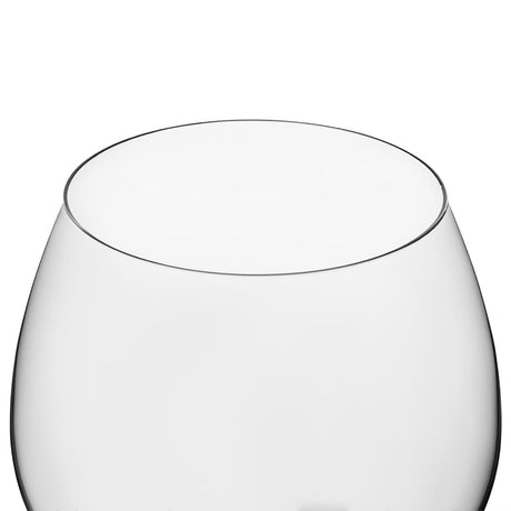 Olympia Serena Red Wine/Gin Glasses 650ml (Pack of 6) - CZ002 Wine Glasses Olympia   