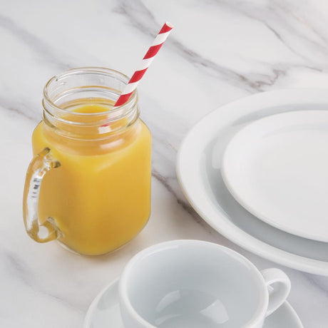 Fiesta Compostable Paper Straws Red Stripes (Pack of 250) - DE927  Fiesta   