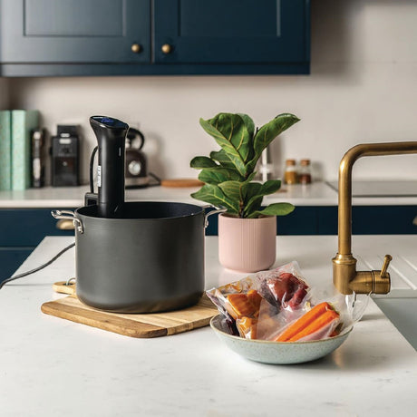 SousVideTools iVide 2 Sous Vide Cooker with WIFI - DH762  Sous Vide Tools   