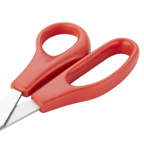 Hygiplas Red Colour Coded Scissors - DM036  Hygiplas   