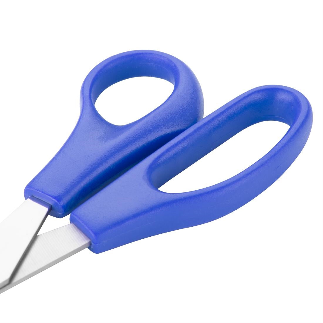 Hygiplas Blue Colour Coded Scissors - DM037  Hygiplas   