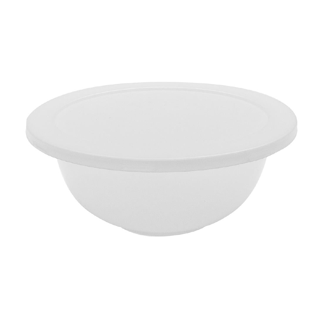 Schneider Plastic Mixing Bowl 1Ltr - DR540  Schneider   