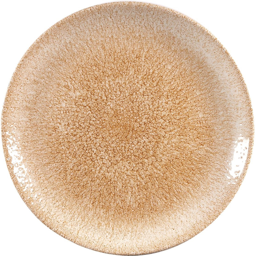 Churchill Studio Prints Raku Coupe Plate Garnet Orange 260mm (Pack of 12) - DR701 Plates Churchill