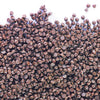 JM Posner Milk Chocolate Chips 6kg (Pack of 2) - DX512  JM Posner   