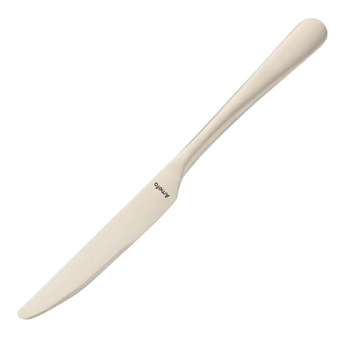 Amefa Table Knife Champagne (Pack of 12) - DX638 Table Knives Amefa