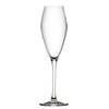 Utopia Seine Flutes 260ml (Pack of 6) - DX923 Wine Glasses Utopia   
