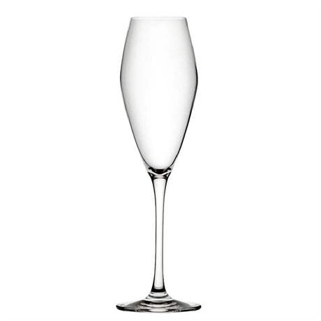 Utopia Seine Flutes 260ml (Pack of 6) - DX923 Wine Glasses Utopia   