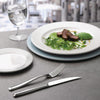 Churchill Profile Steak Knives (Pack of 12) - FA760 Churchill Cutlery Churchill   