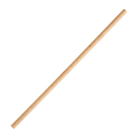 Fiesta Compostable Paper Straws Kraft (Pack of 250) - FB138  Fiesta   