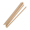 Fiesta Compostable Paper Straws Kraft (Pack of 250) - FB138  Fiesta   