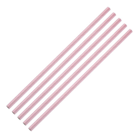 Fiesta Compostable Paper Straws Pink (Pack of 250) - FB139  Fiesta   