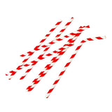 Fiesta Compostable Bendy Paper Straws Red Stripes (Pack of 250) - FB142  Fiesta   