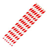 Fiesta Compostable Bendy Paper Straws Red Stripes (Pack of 250) - FB142  Fiesta   