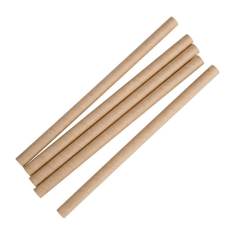 Fiesta Compostable Paper Smoothie Straws Kraft (Pack of 250) - FB146  Fiesta   