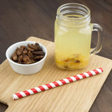 Fiesta Compostable Paper Smoothie Straws Red Stripes (Pack of 250) - FB147  Fiesta   