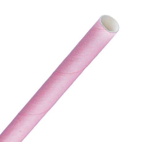 Fiesta Compostable Paper Smoothie Straws Pink (Pack of 250) - FB149  Fiesta   