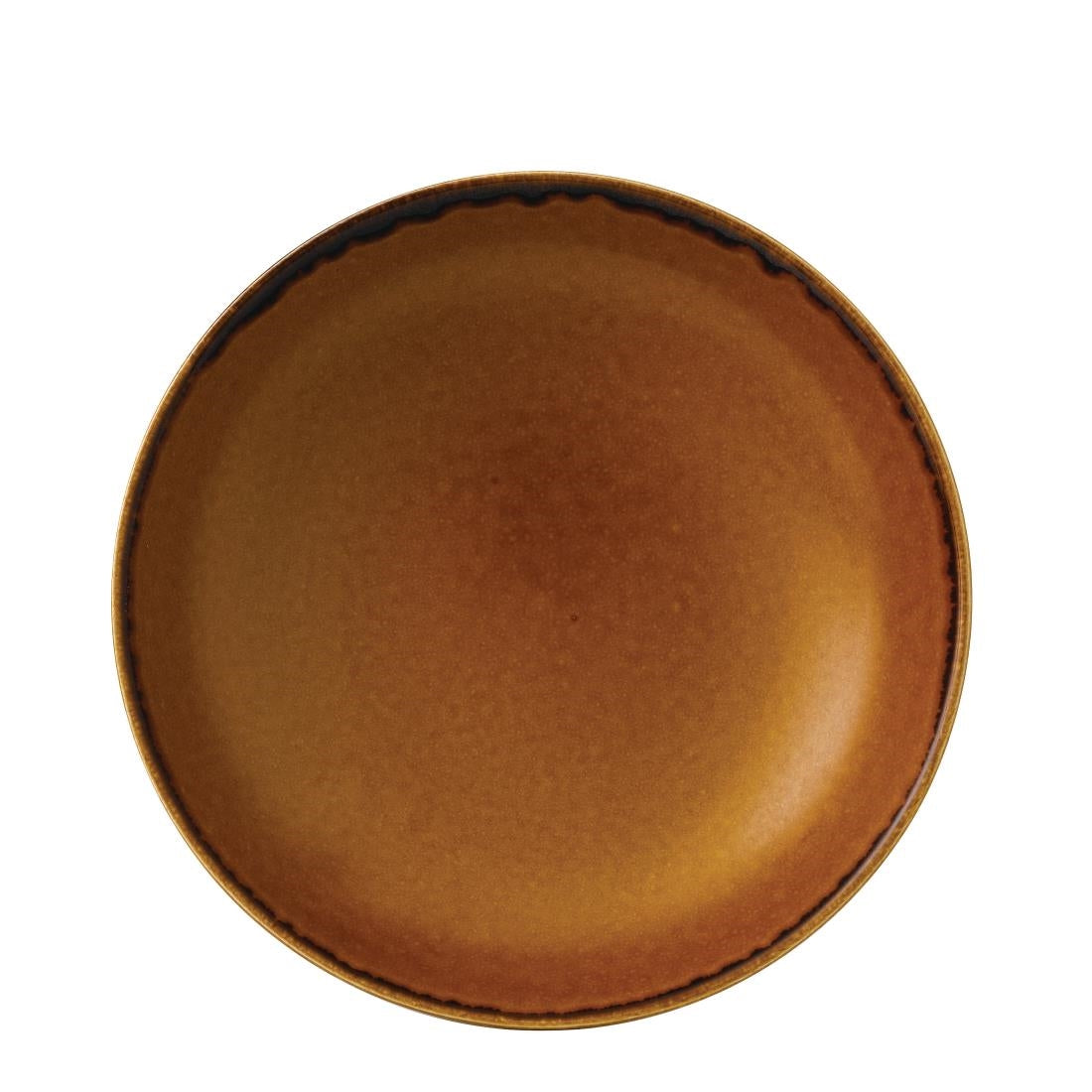 Dudson Harvest Evolve Coupe Bowls Brown 248mm (Pack of 12) - FC018 Bowls Churchill