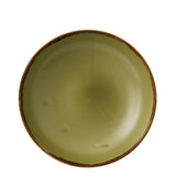 Dudson Harvest Evolve Coupe Bowls Green 248mm (Pack of 12) - FC044 Bowls Churchill