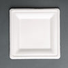 Fiesta Compostable Bagasse Square Plates 204mm (Pack of 50) - FC519  Fiesta   