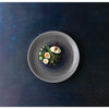 Churchill Stonecast Aqueous Grey Evolve Coupe Plate 10.25" (Box 12) (Direct) - FD849 Plates Churchill