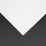 Fiesta Recyclable Cocktail Napkin White 24x24cm 2ply 1/4 Fold (Pack of 4000) - FE216  Fiesta   