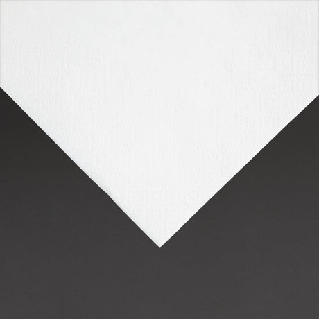 Fiesta Recyclable Cocktail Napkin White 24x24cm 2ply 1/4 Fold (Pack of 4000) - FE216  Fiesta   