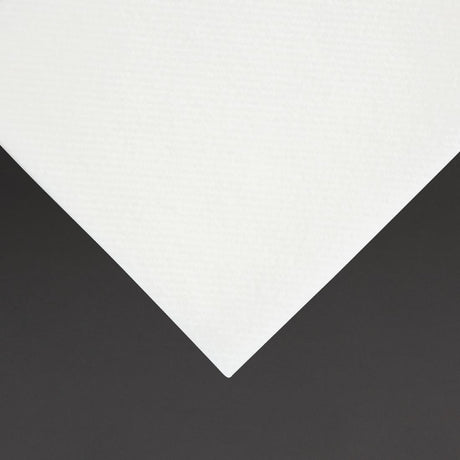 Fiesta Recyclable Premium Tablin Dinner Napkin White 40x40cm (Pack of 500) - FE271  Fiesta   