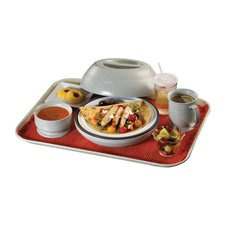 Cambro Camtherm Thermal Pellet 240mm - FE725  Cambro   