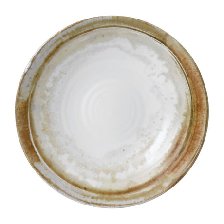 Dudson Sandstone Organic Coupe Plate 228mm (Pack of 12) - FR099 Plates Churchill