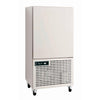 Foster Xtra Blast Chiller Stainless Steel 35kg XR35 - GK698  Foster Refrigerator   