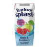Radnor Splash Tetra Apple & Raspberry 250ml (Pack of 24) - HP972  Radnor Hills   