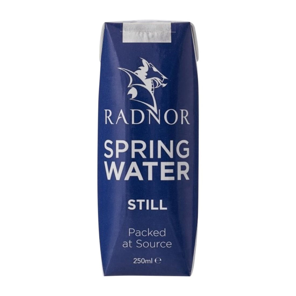 Radnor Still Spring Water Tetra Pak 250ml (Pack of 24) - HP975  Radnor Hills   