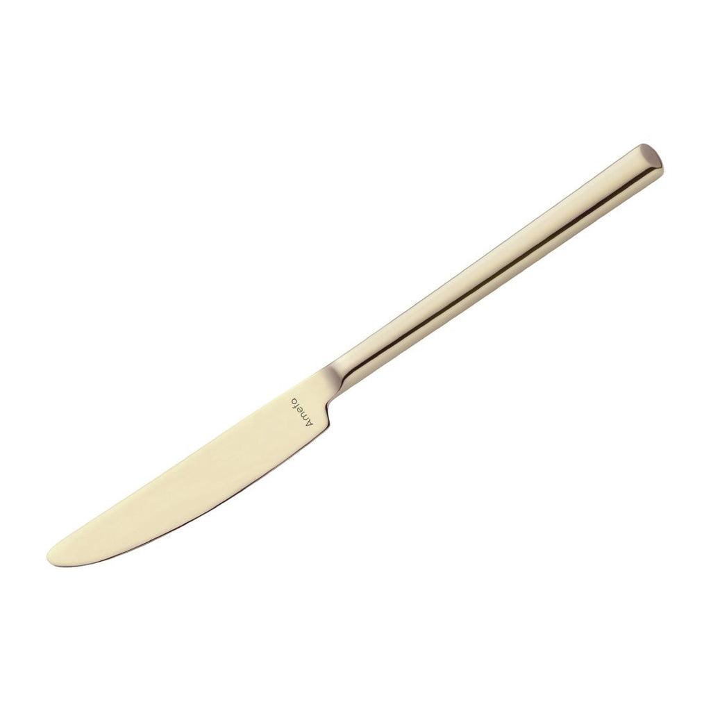 Amefa Metropole Champagne Table Knives (Pack of 12) - HY056 Amefa Cutlery Amefa   