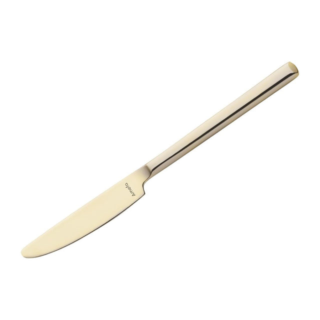 Amefa Metropole Champagne Dessert Knives (Pack of 12) - HY058 Amefa Cutlery Amefa   