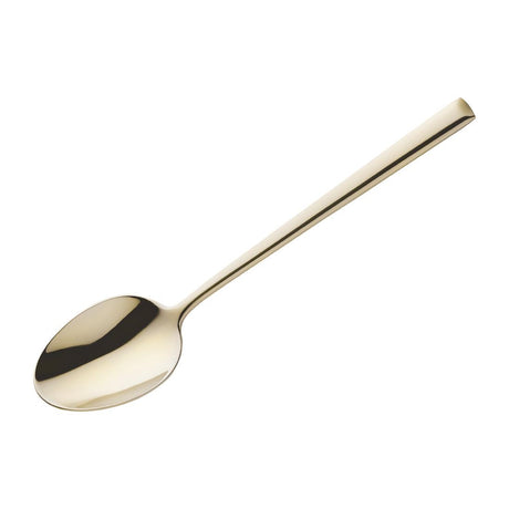 Amefa Metropole Champagne Dessert Spoons (Pack of 12) - HY060 Spoons Amefa
