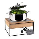 APS Induction Station 354x325x190mm | JB689 Induction Hobs APS