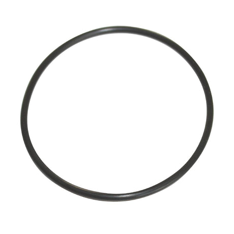 O ring seal (62 x 2.5) - N173  Santos   