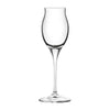 RCR Cristalleria Invino Sherry Goblet 100ml (Pack of 12) - VV3805  RCR Cristalleria   