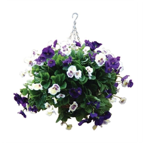22" Purple and White Pansy Ball - CG570