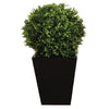 Artificial Topiary Boxwood Ball 500mm - CD162 Artificial Plants Bolero   