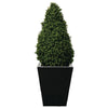 Artificial Topiary Buxus Pyramid 1200mm - CD160 Artificial Plants Bolero   