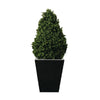 Artificial Topiary Buxus Pyramid 900mm - CD159 Artificial Plants Non Branded   